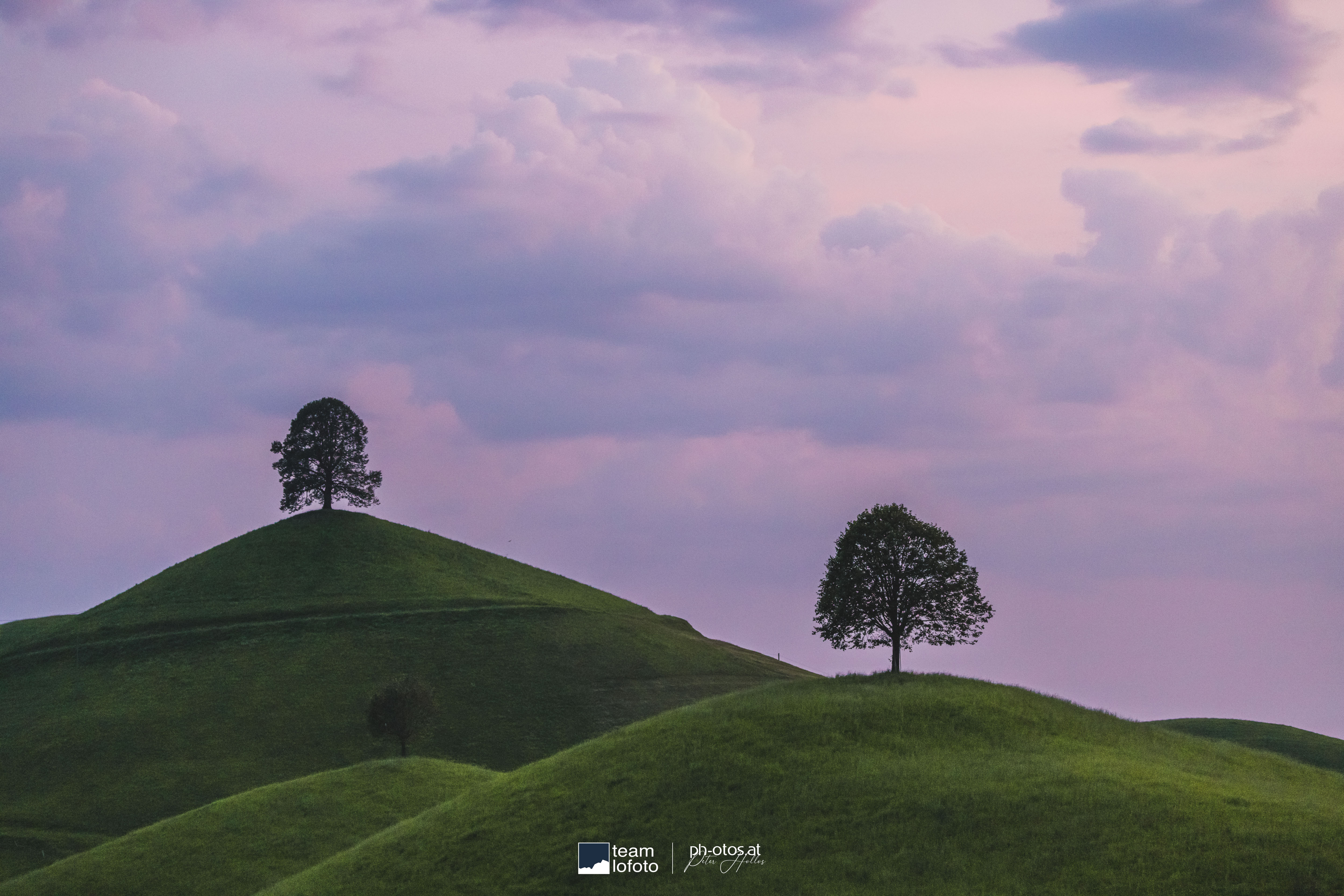 Fotograf_Peter_Hollos PH5_4068